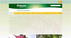 Desktop Screenshot of pokon-cl.com